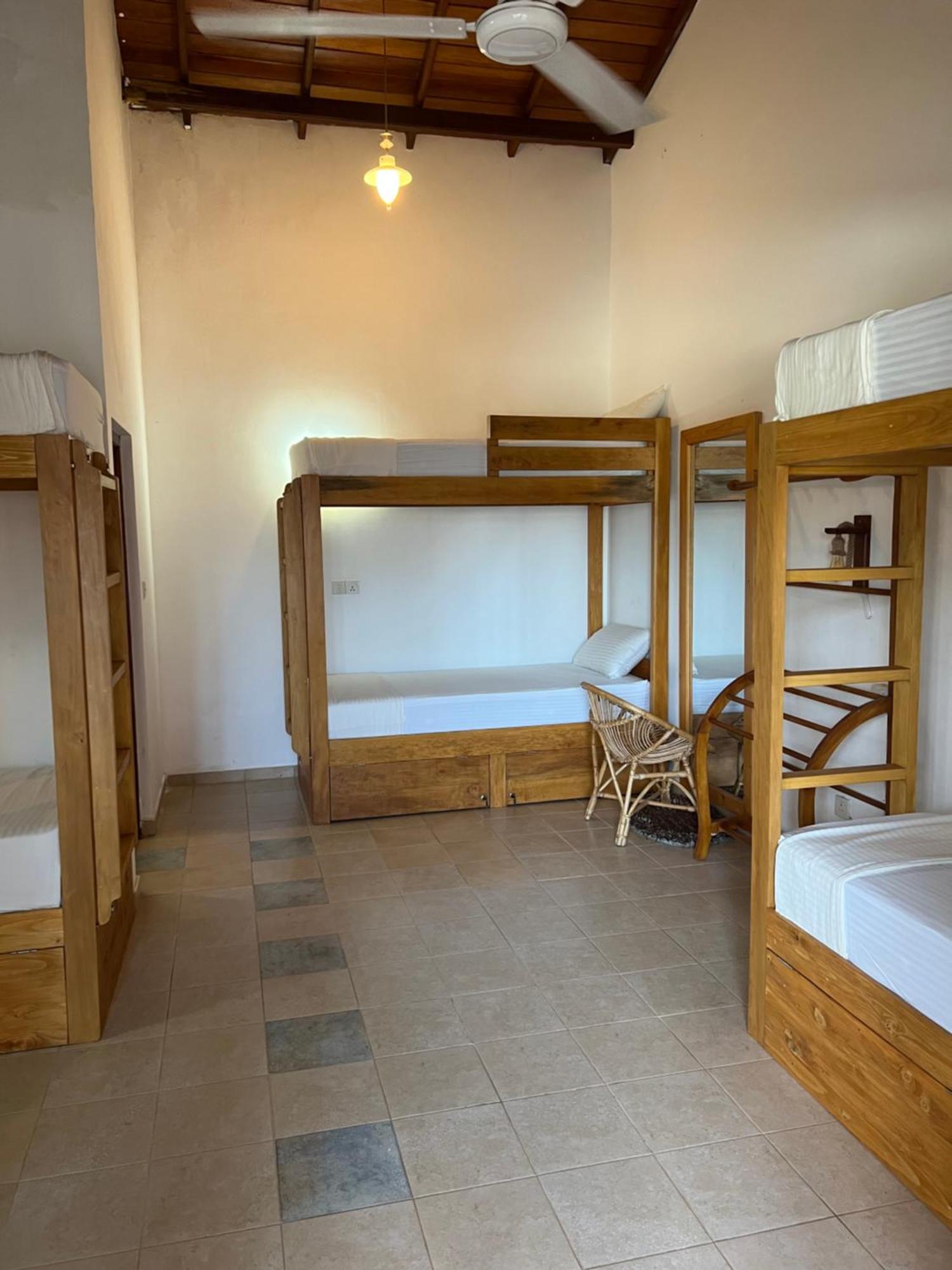 Hummus Hostel ฮิกคาดูวา ภายนอก รูปภาพ